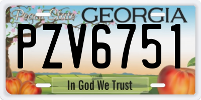 GA license plate PZV6751