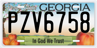 GA license plate PZV6758