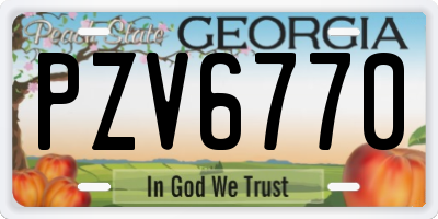 GA license plate PZV6770
