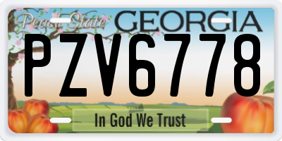 GA license plate PZV6778