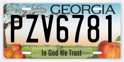 GA license plate PZV6781