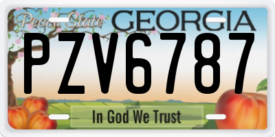 GA license plate PZV6787