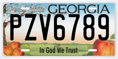 GA license plate PZV6789