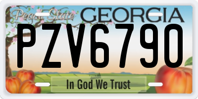 GA license plate PZV6790