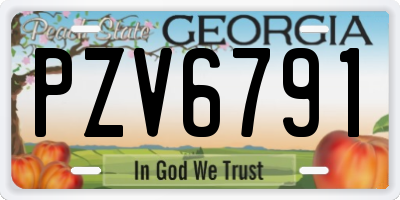 GA license plate PZV6791