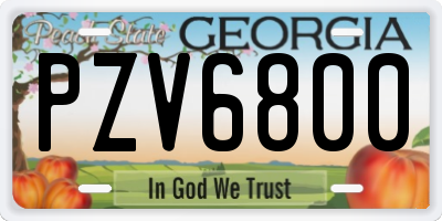 GA license plate PZV6800