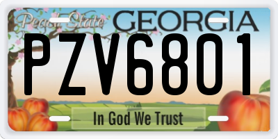 GA license plate PZV6801