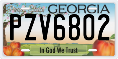 GA license plate PZV6802