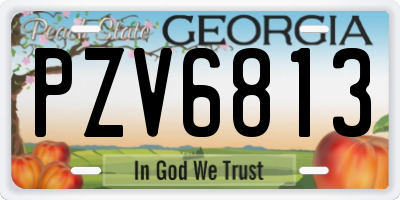 GA license plate PZV6813