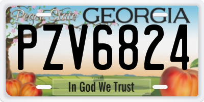 GA license plate PZV6824
