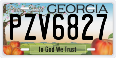 GA license plate PZV6827