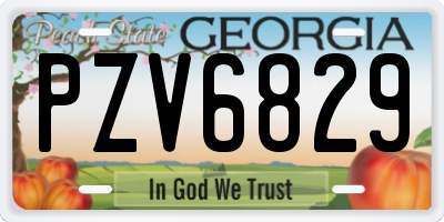 GA license plate PZV6829