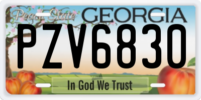 GA license plate PZV6830