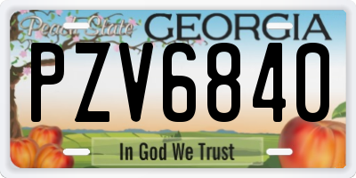 GA license plate PZV6840