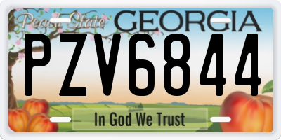 GA license plate PZV6844