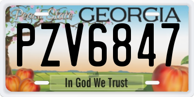 GA license plate PZV6847