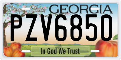 GA license plate PZV6850