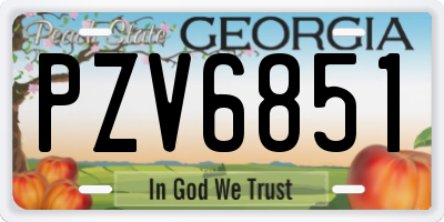 GA license plate PZV6851