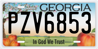 GA license plate PZV6853