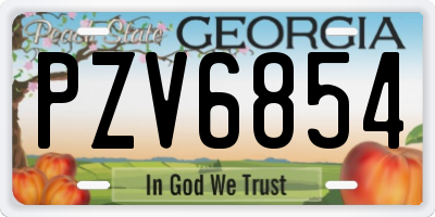 GA license plate PZV6854
