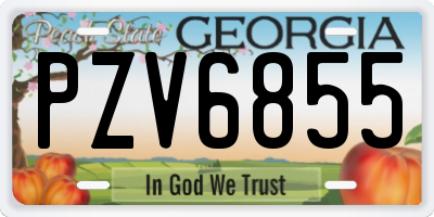 GA license plate PZV6855