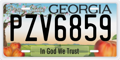 GA license plate PZV6859