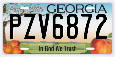 GA license plate PZV6872