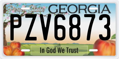 GA license plate PZV6873