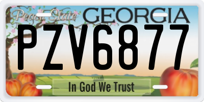 GA license plate PZV6877