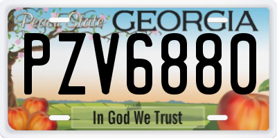 GA license plate PZV6880