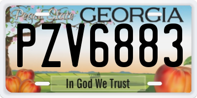 GA license plate PZV6883