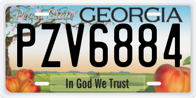 GA license plate PZV6884