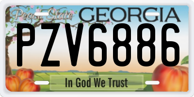 GA license plate PZV6886
