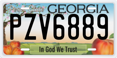 GA license plate PZV6889