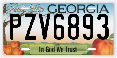 GA license plate PZV6893