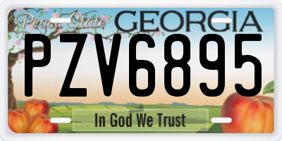 GA license plate PZV6895