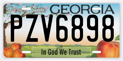 GA license plate PZV6898