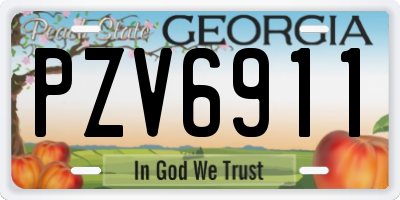 GA license plate PZV6911