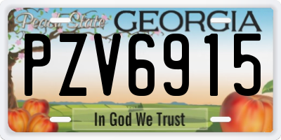 GA license plate PZV6915