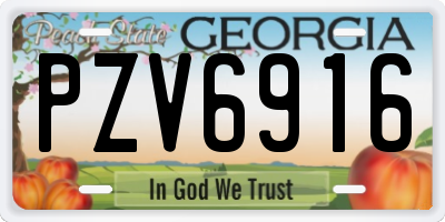 GA license plate PZV6916