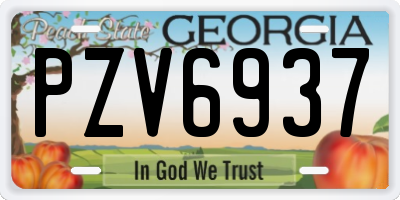 GA license plate PZV6937