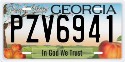 GA license plate PZV6941