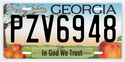 GA license plate PZV6948