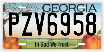 GA license plate PZV6958