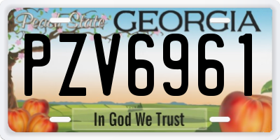 GA license plate PZV6961
