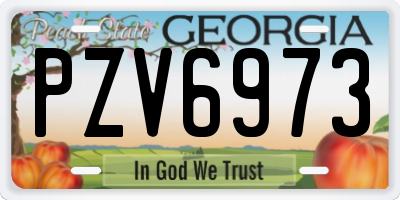 GA license plate PZV6973