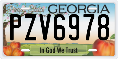 GA license plate PZV6978