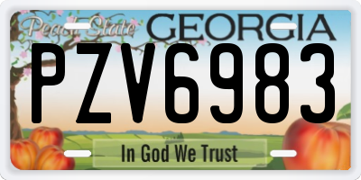 GA license plate PZV6983