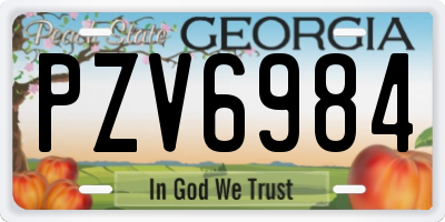 GA license plate PZV6984