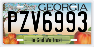 GA license plate PZV6993